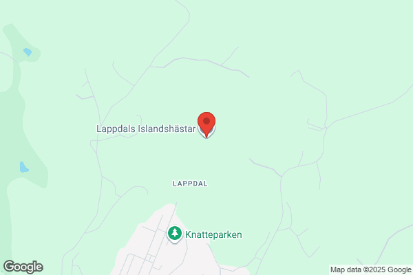 Alecks Islandshästar