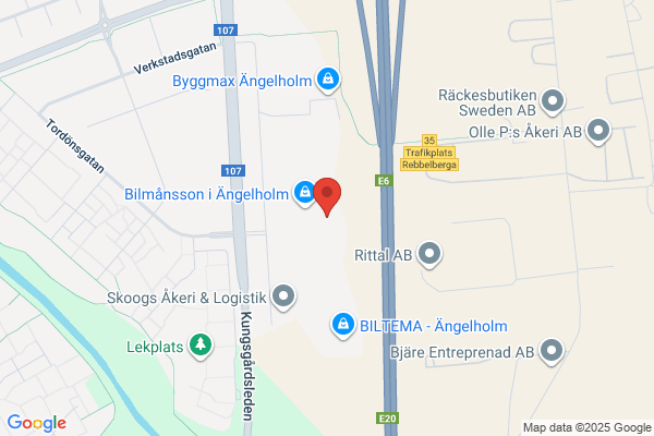 Bilmånsson i Ängelholm