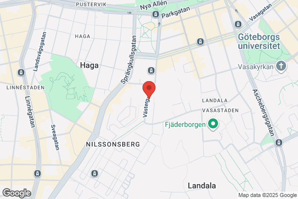 Salong Närlunda