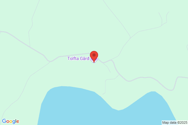 Tolfta Trä