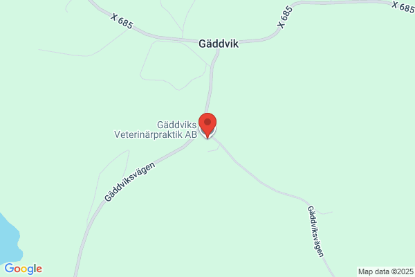 Gäddviks Servicetjänst