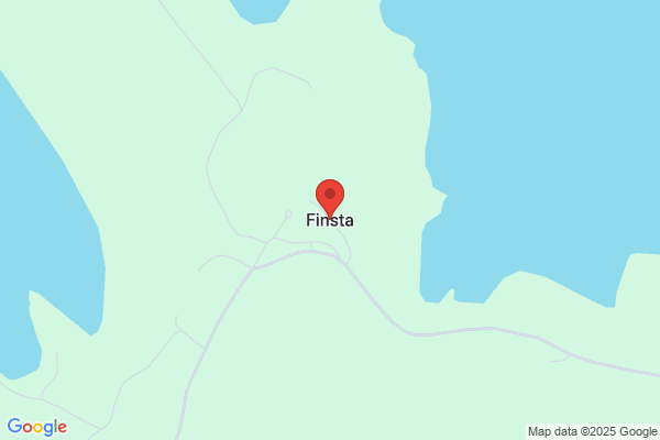 Finstabagarn