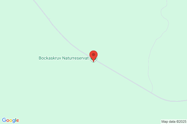Bockaskruv Trading AB