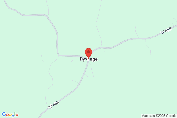 Dyvlinge Elektriska AB
