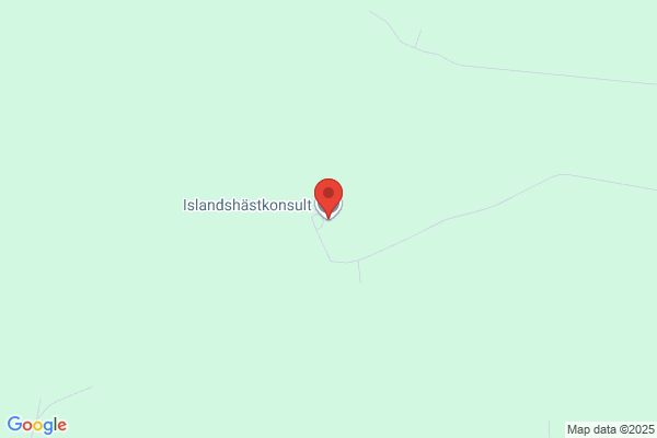 Islandshästkonsult JM