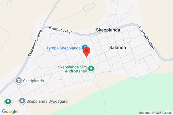 Skepplanda Taxi