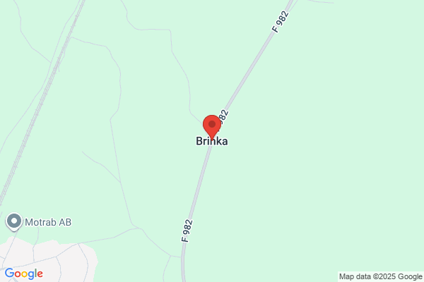 Brinka Specialsnickeri