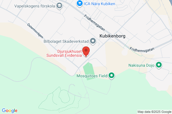 Djursjukhuset Sundsvall