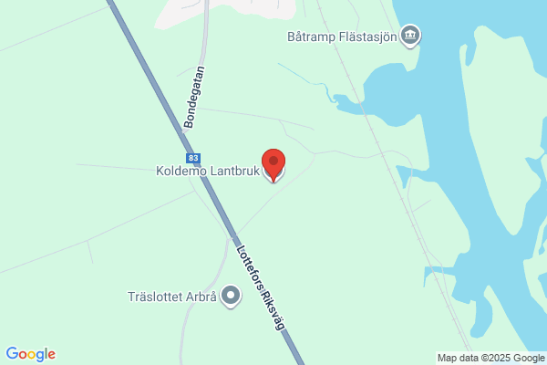 Träslottet