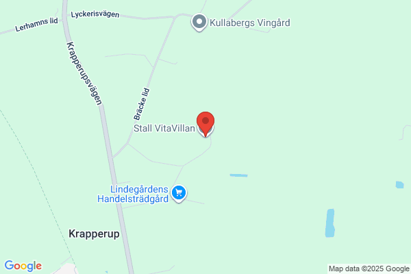 Vita Villan