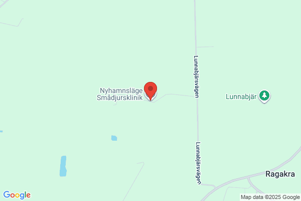Smådjursveterinär