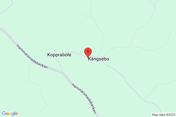 Oredssons Skogsentreprenad AB