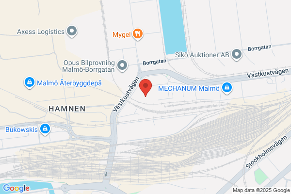 Orientaliska Mattvätten