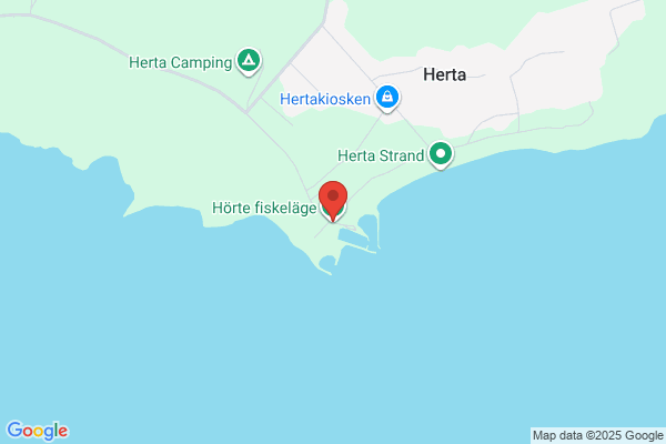 Hjärtslaget
