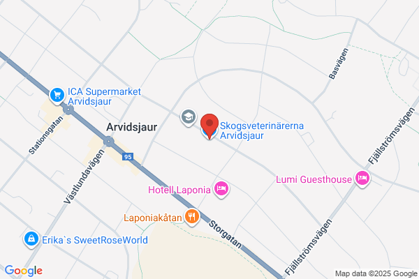 D. Åström Skogstjänst i Arvidsjaur AB
