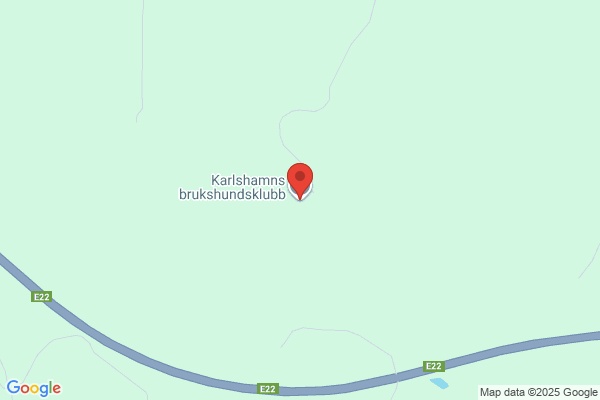 B.K. Spräng & Konsulttjänst