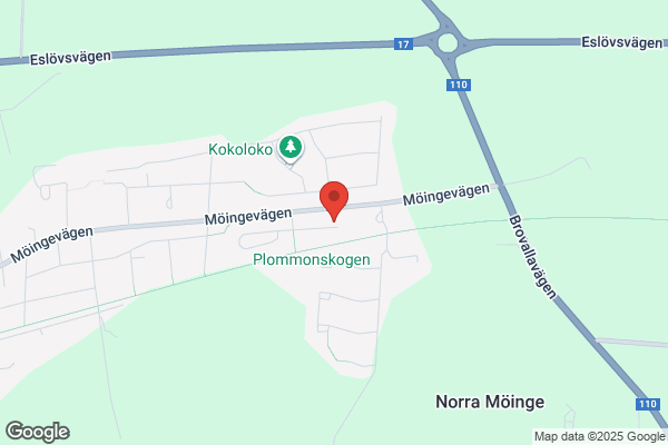 Inglablommor AB