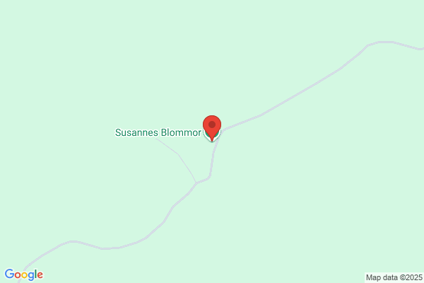 Susannes Städ Service