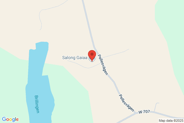 Salong Gaiaa