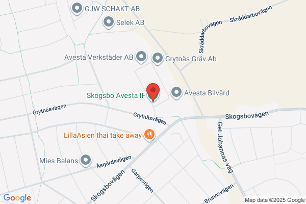 Skogsbo Avesta IF