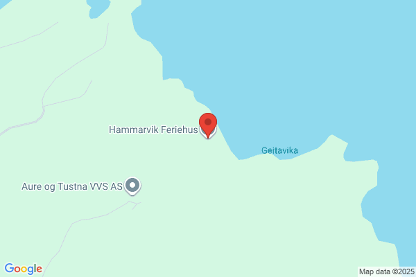 Hammervik Anders