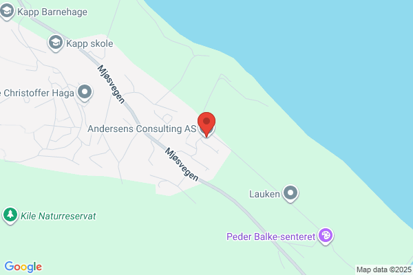 P Anderson Consulting AB