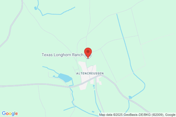 Texas Longhorn