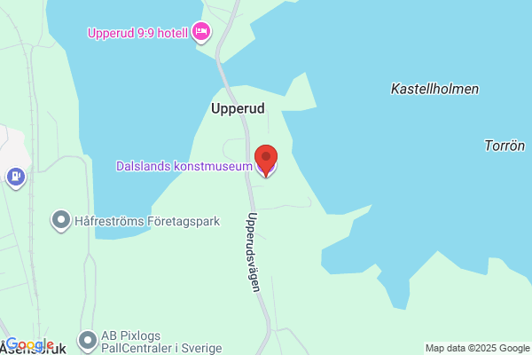 Dalslands Museum, Stiftelsen