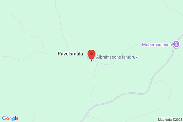 B M Albrektsson