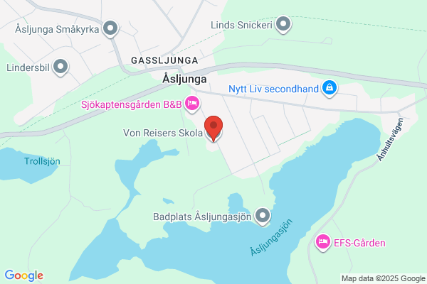 Von Reisers Skola