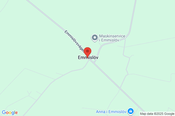 Denise Borgström AB