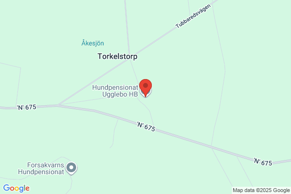 Högmo Hundpensionat