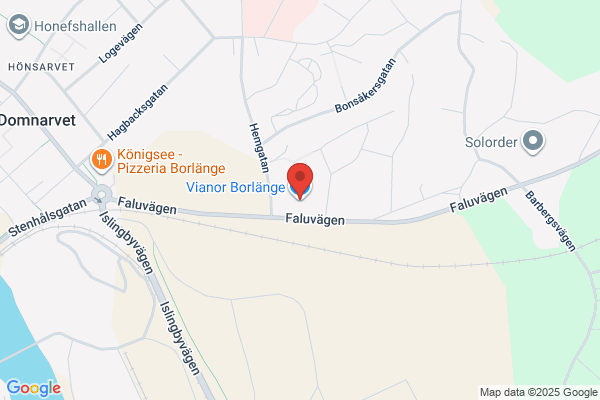 VIANOR