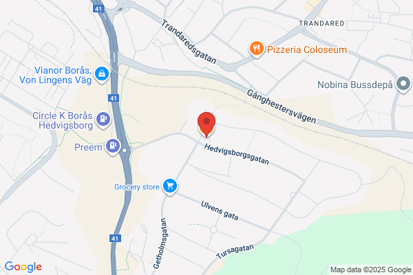 Hedvigsborgs Pizzeria