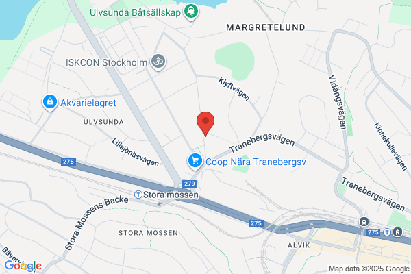 Din Hund i Fokus