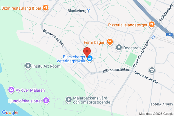 Delin & Massarsch AB