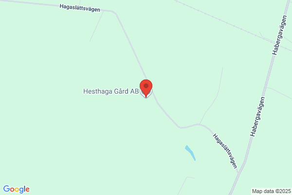 Hingsttåget AB