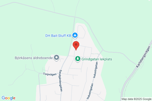 AAAS Konsult AB