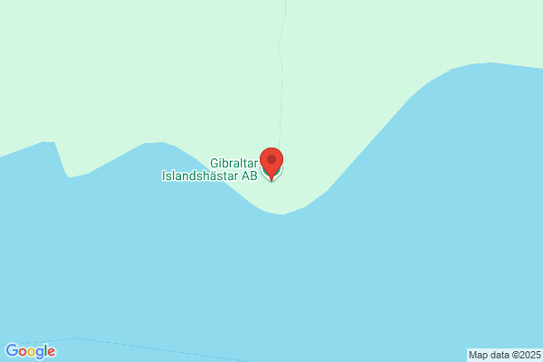 Ålös Islandshästar