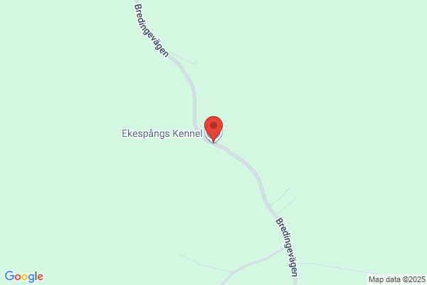 Edeäng's Kennel