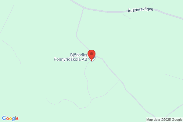 Björkviks Ponnyridskola AB