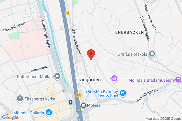 POLISEN