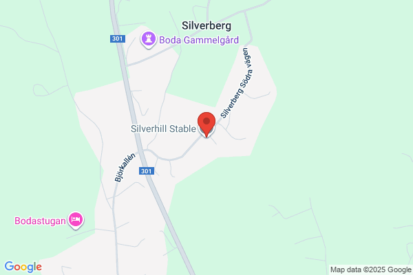 Silverhill Stable, Trails & Tracks