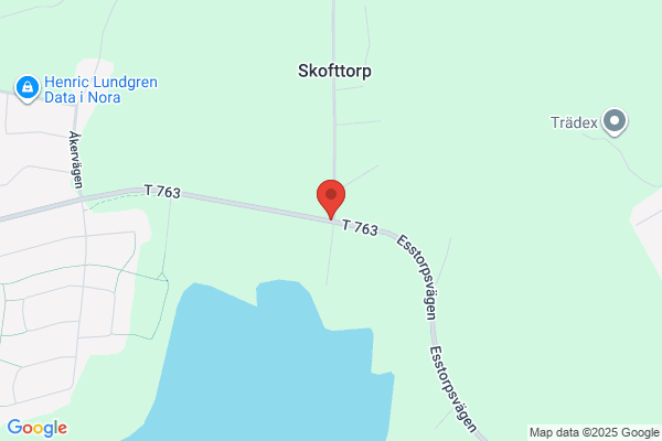 Skotjänst