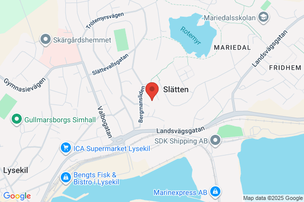 ALTERNATIV BIOMEDICIN ÖCKERMAN AKTIEBOLAG