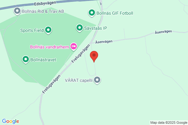 Distriktsveterinärerna Bollnäs