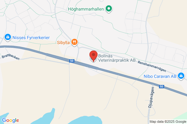 Bollnäs Veterinärpraktik AB