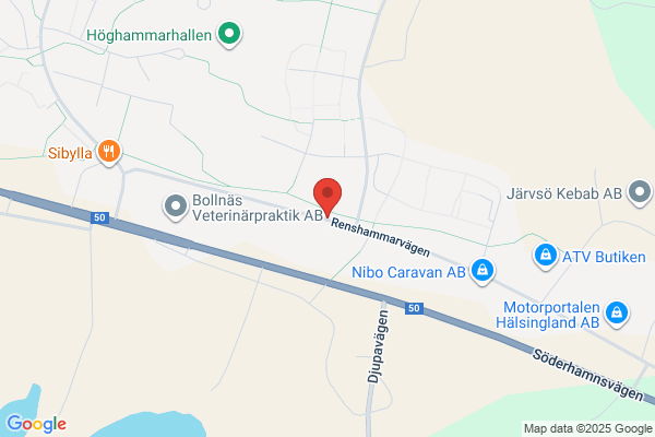 Renshammar