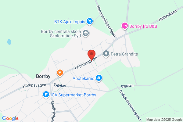 Borrby El AB