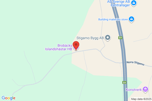 Islandshästar i Väst-Tibble